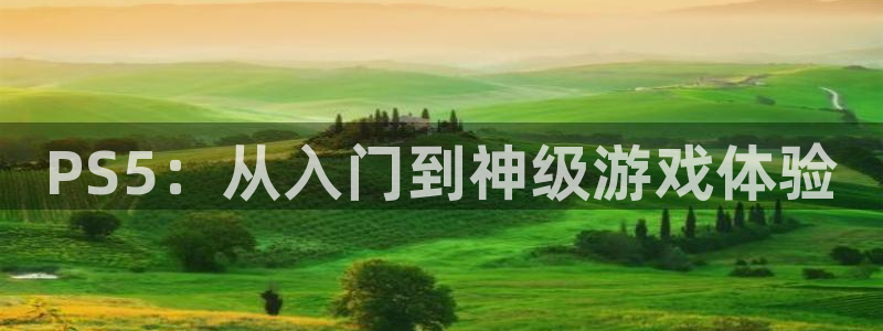 杏盛主管：PS5：从入门到神级游戏体验