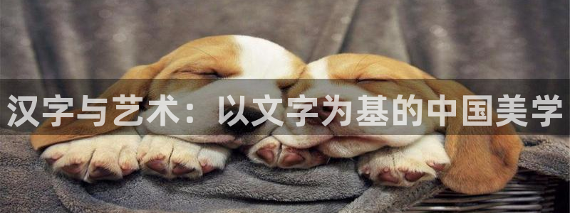 杏盛注册平台官方网站