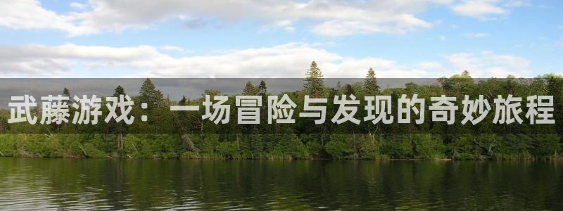 杏盛娱乐平台注册登录