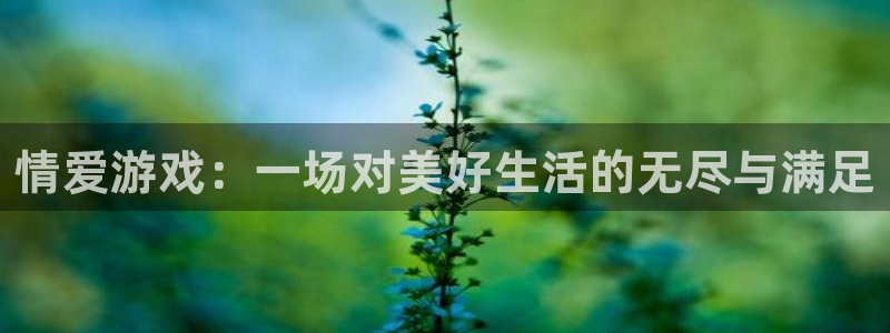 杏盛注册平台：情爱游戏：一场对美好生活的无尽与满足