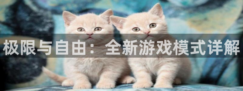 杏盛平台官网注册登录：极限与自由：全新游戏模式详解