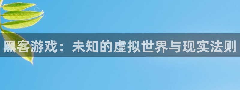 杏盛注册平台官方网站：黑客游戏：未知的虚拟世界与现实法则
