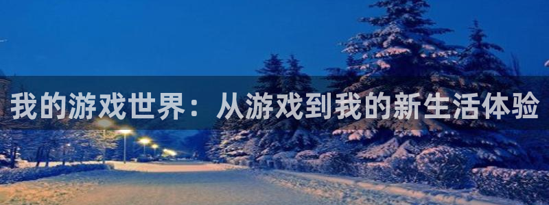 杏盛登录注册：我的游戏世界：从游戏到我的新生活体验