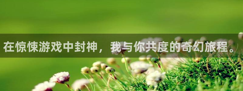 杏盛平台注册：在惊悚游戏中封神，我与你共度的奇幻旅程。