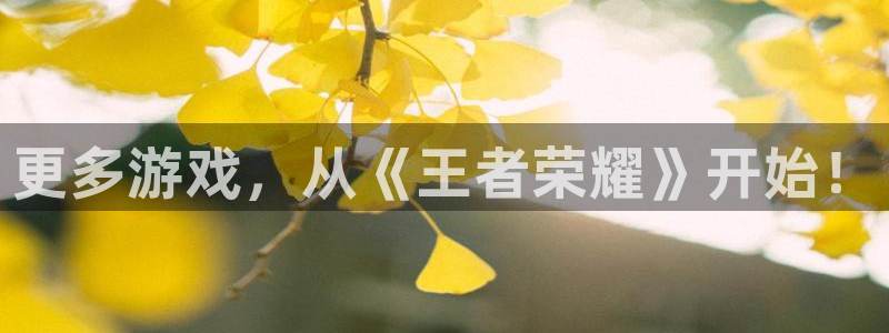 杏盛平台代理：更多游戏，从《王者荣耀》开始！
