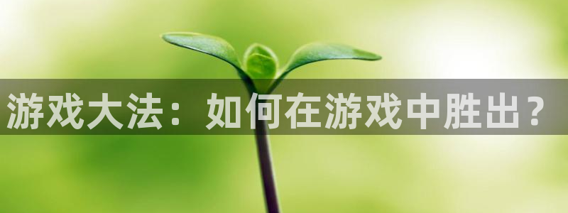 杏盛注册平台官方网站