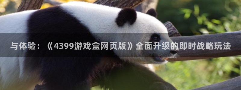杏盛平台总代理：与体验：《4399游戏盒网页版》全面升级的即