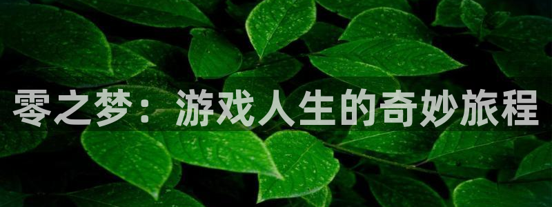 杏盛登录注册