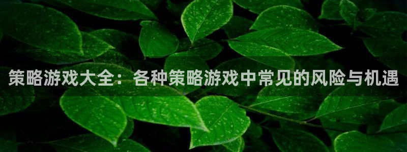 杏盛娱乐平台注册登录：策略游戏大全：各种策略游戏中常见的风险