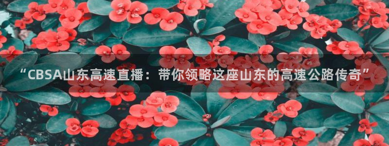 绿茵直播体育nba：“CBSA山东高速直播：带你领略这座山东的高速公路传奇”