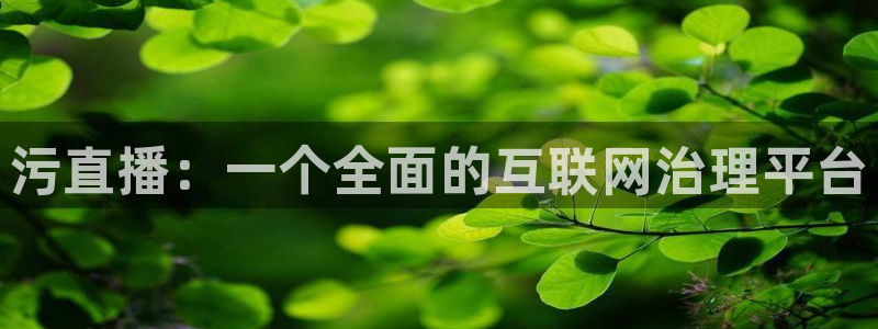 绿茵直播篮球：污直播：一个全面的互联网治理平台