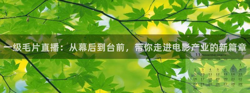 绿茵直播体育免费观看：一级毛片直播：从幕后到台前，带你走进电影产业的新篇章