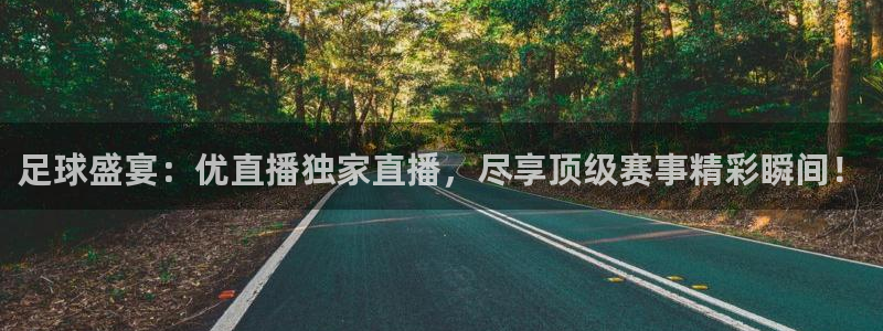 绿茵足球官网：足球盛宴：优直播独家直播，尽享顶级赛事精彩瞬间！