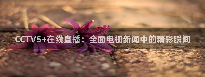 绿茵直播体育免费观看lyzb：CCTV5+在线直播：全面电视新闻中的精彩瞬间