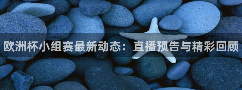 绿茵直播足球直播：欧洲杯小组赛最新动态：直播预告与精彩回顾