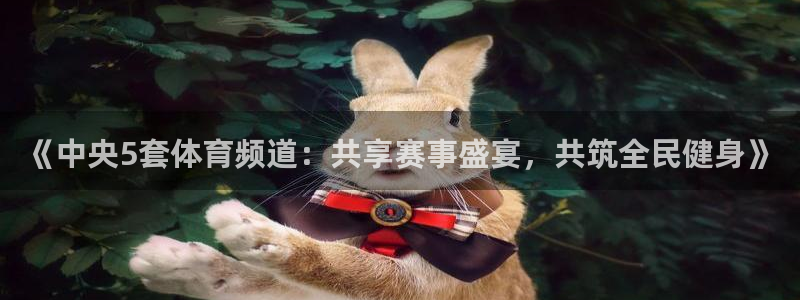 绿茵体育直播官网下载：《中央5套体育频道：共享赛事盛宴，共筑全民健身》