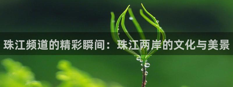 绿茵直播体育app下载安装最新版：珠江频道的精彩瞬间：珠江两岸的文化与美景