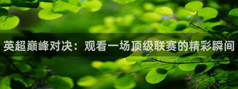 绿茵直播体育nba2026礼金入口.手指点开.top：英超巅峰对决：观看一场顶级联赛的精彩瞬间