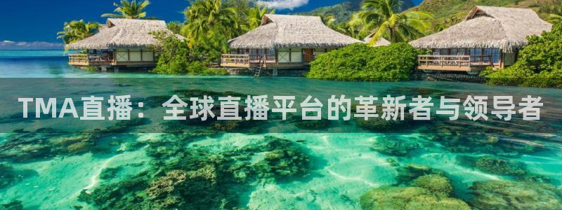 绿茵足球：TMA直播：全球直播平台的革新者与领导者