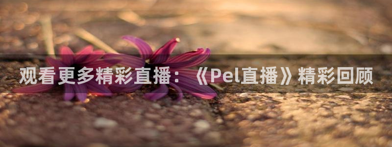 绿茵吧足球网：观看更多精彩直播：《Pel直播》精彩回顾