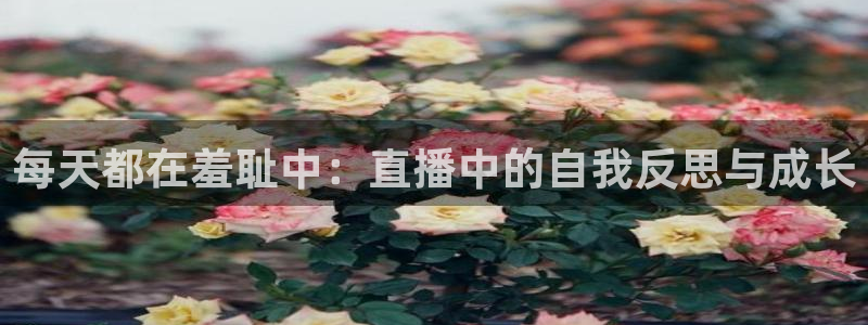绿茵足球直播：每天都在羞耻中：直播中的自我反思与成长
